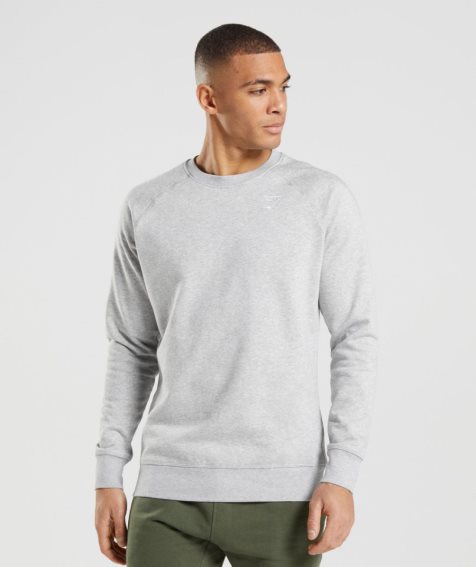 Men's Gymshark Crest Sweatshirts Light Grey | CA A63178